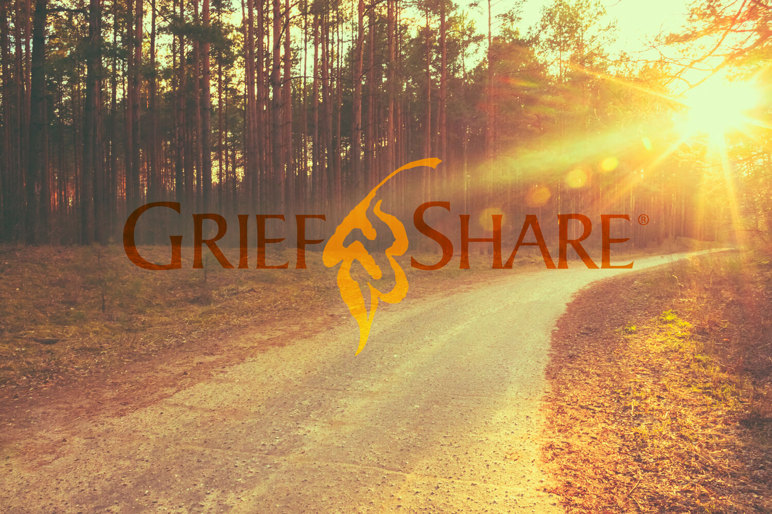 Currently Viewing Grief Share